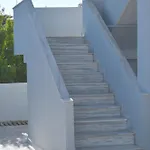 Kam