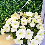 Kam Hébergement de vacances